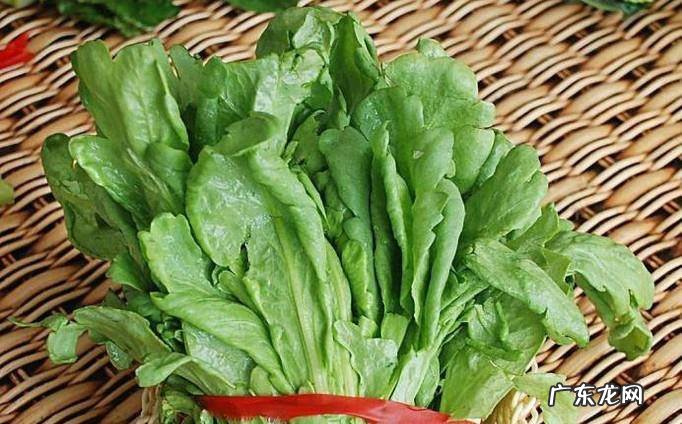 五种快速瘦身法