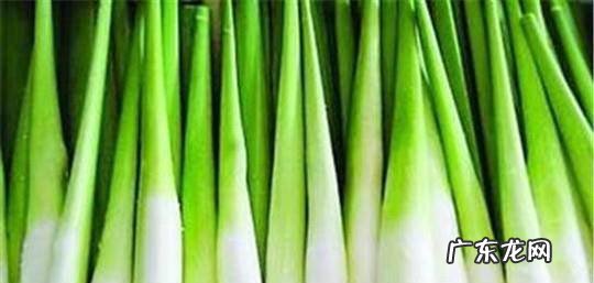 茭白的功效与作用