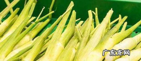茭白的功效与作用