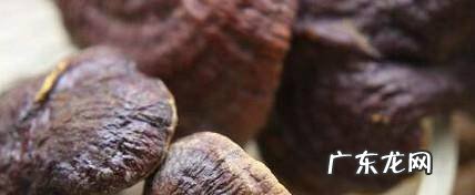 如何识别野生灵芝