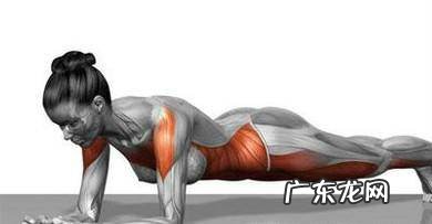 平板支撑减肥法