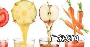 酵素的功能和作用