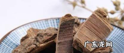 海桐皮的功效与作用