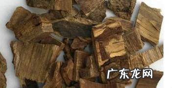 海桐皮的功效与作用