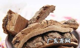 海桐皮的功效与作用