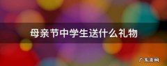 母亲节中学生送什么礼物,母亲节中学生送什么礼物给妈妈