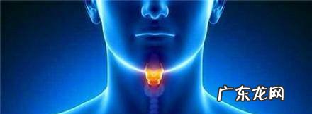 罗汉果泡茶喝的方法和功效