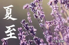 2023年6月21日是什么节日 6月21日是夏至