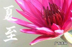 2023年夏至唯美诗词 关于夏至的古诗词有哪些