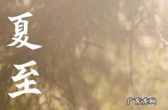 二十四节气夏至简介 夏至养生怎么办