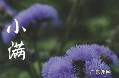 小满下雨是什么预兆