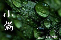 小满下雨有什么说法