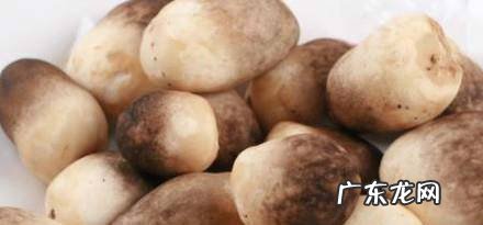 菌类营养价值高5种常见蘑菇的独特功效