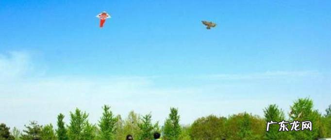 怎样把风筝放的又高又远