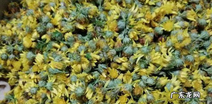 怎样自制野菊花自制野菊花详解