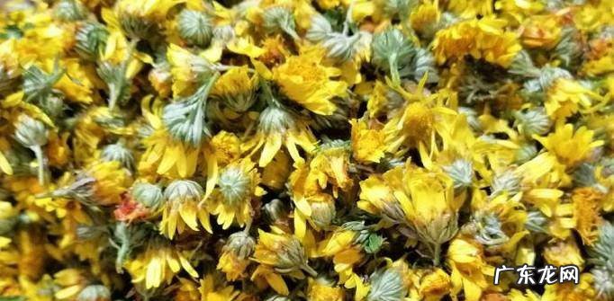 怎样自制野菊花自制野菊花详解