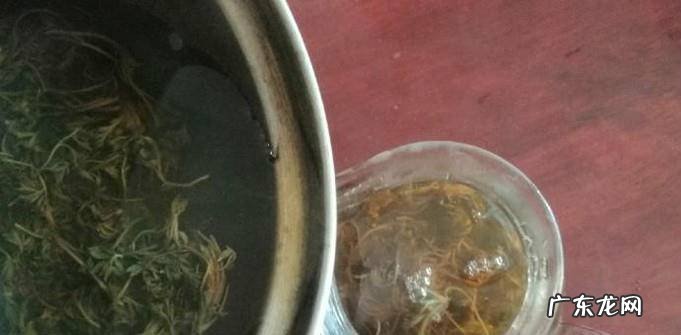 怎样用茵陈泡水喝茵陈泡水喝详解