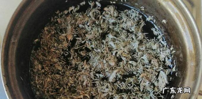 怎样用茵陈泡水喝茵陈泡水喝详解