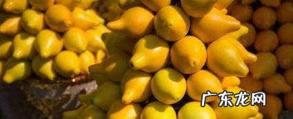 黄金果的功效与价值