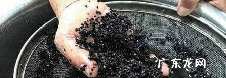 解析九蒸九晒黑芝麻