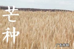 2023年芒种是几点几分