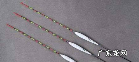 怎样钓鱼钓鱼要准备什么