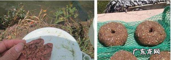 怎样钓鱼钓鱼要准备什么