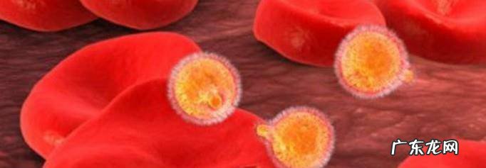 女人来月经的作用