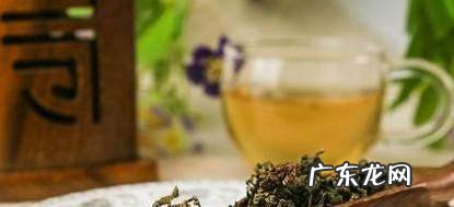 一年四季适合喝什么茶