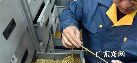 中医熬制膏滋的方法