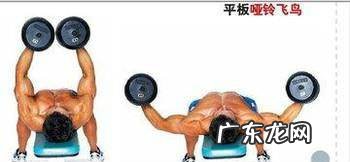 怎样锻炼胸肌锻炼胸肌的器械和方法