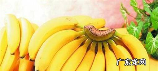 健身的时候应该吃什么食物