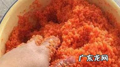 冬季钓鲫鱼如何选用饵和钩