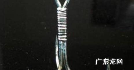 冬季钓鲫鱼如何选用饵和钩