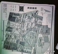 定向运动和定向越野