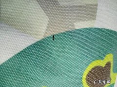 用这招蚂蚁从此后立刻离开你家 床上有蚂蚁如何彻底清除