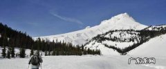 越野滑雪什么时候列入冬奥会
