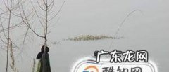 冬季有风天气钓鱼技巧