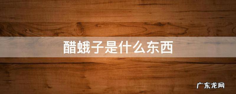 醋蛾子是什么东西,白醋蛾子是什么东西