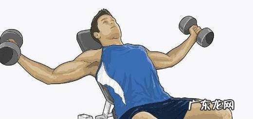 新手力量训练需要注意什么