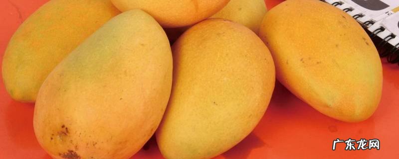 芒果成熟的标志,芒果熟了的标志