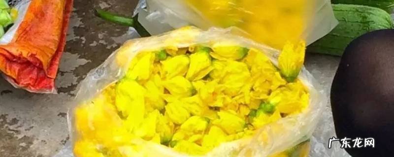 黄豆水浇花满屋臭咋办,臭黄豆水浇花对身体有害吗
