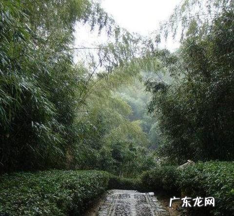 哪些天气不适合爬山