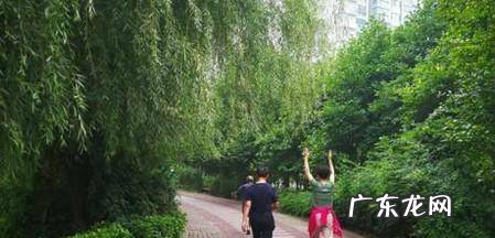 怎么散步减肥效果好