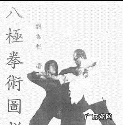 形意拳和八极拳哪个凶