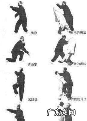 形意拳和八极拳哪个凶