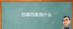 四基四能指什么,语文四基四能指什么