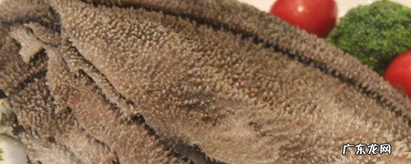 牛百叶煮多久才熟,牛百叶煮多久会熟