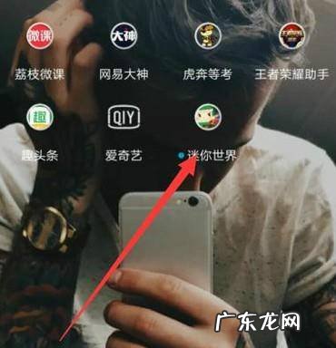 伏地魔是什么意思