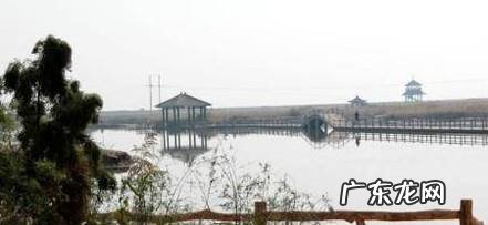 东营黄河口湿地公园一日游攻略